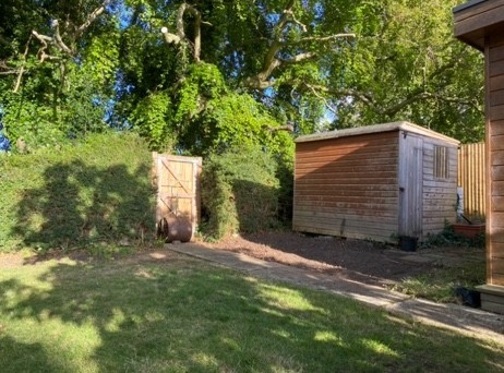 After: Garden clearance beside a shed